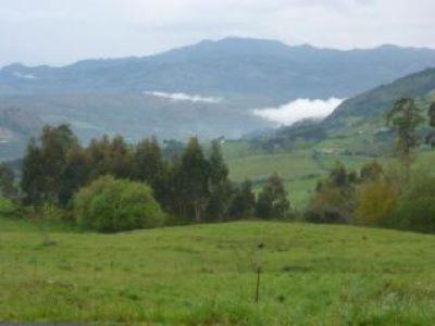 El Hogar De La Castanera Leilighet Colombres Eksteriør bilde